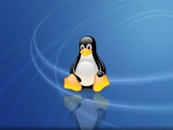 Linux入侵检测与应急响应：安全事件排查实战手册